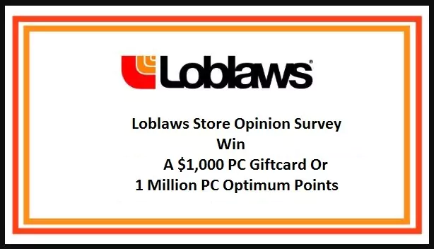 Storeopinion.ca survey 